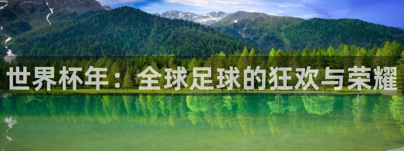 世界杯球赛：世界杯年：全球足球的狂欢与荣耀