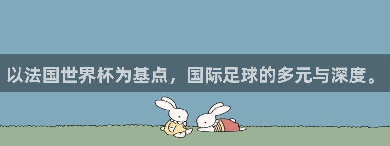 2006年世界杯：以法国世界杯为基点，国际足球的多元与深度。