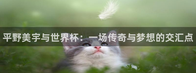 世界杯足球赛2026赛程时间：平野美宇与世界杯：一场传奇与梦想的交汇点