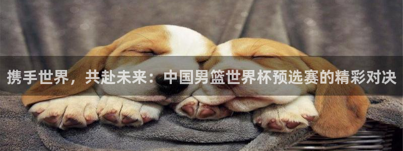 欧联杯直播：携手世界，共赴未来：中国男篮世界杯预选赛的精彩对决