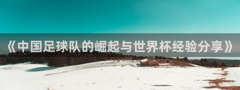 世界杯48支球队赛制：《中国足球队的崛起与世界杯经验分享》