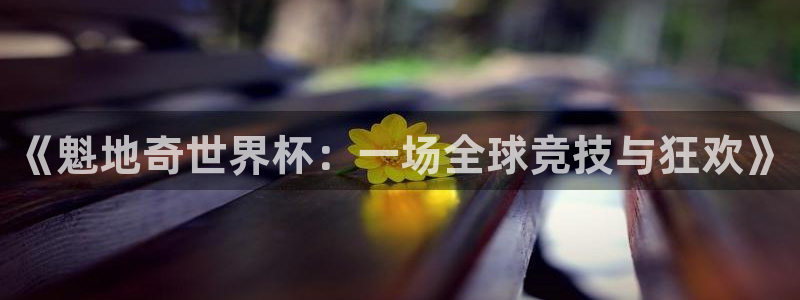 足球杯：《魁地奇世界杯：一场全球竞技与狂欢》