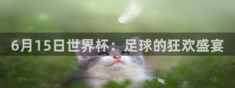 世界杯直播在线观看入口：6月15日世界杯：足球的狂欢盛宴