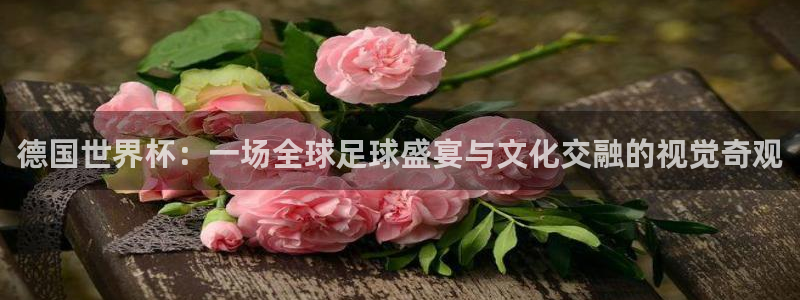 足球世界杯预选赛：德国世界杯：一场全球足球盛宴与文化交融的视觉奇观
