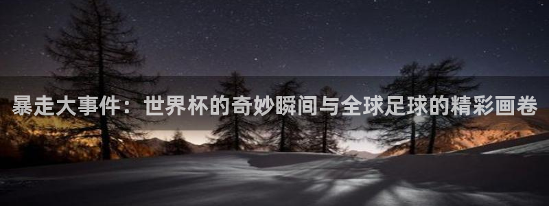 世界杯预选赛亚洲区积分榜：暴走大事件：世界杯的奇妙瞬间与全球足球的精彩画卷