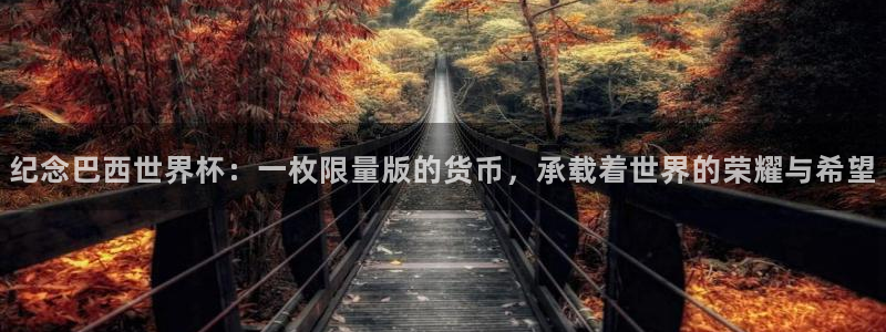 2026世界杯官网：纪念巴西世界杯：一枚限量版的货币，承载着世界的荣耀与希望