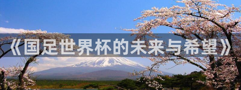 世界杯欧洲预选赛：《国足世界杯的未来与希望》