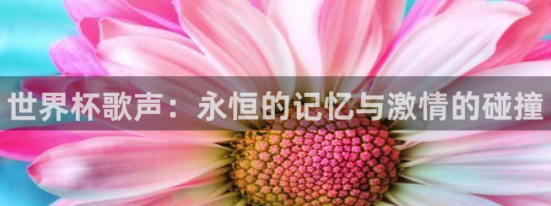 2006世界杯：世界杯歌声：永恒的记忆与激情的碰撞