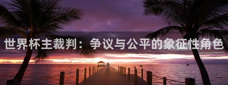 2026世界杯亚洲预选赛：世界杯主裁判：争议与公平的象征性角色