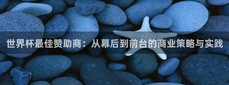欧联杯直播：世界杯最佳赞助商：从幕后到前台的商业策略与实践