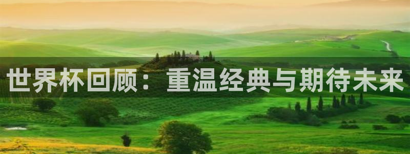 亚洲杯足球：世界杯回顾：重温经典与期待未来