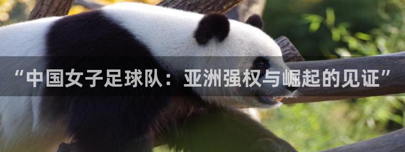 2026世界杯亚洲预选赛赛程：“中国女子足球队：亚洲强权与崛起的见证”
